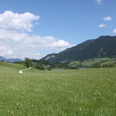 Pension Glitschnerhof Aigen im Ennstal Bagian luar foto