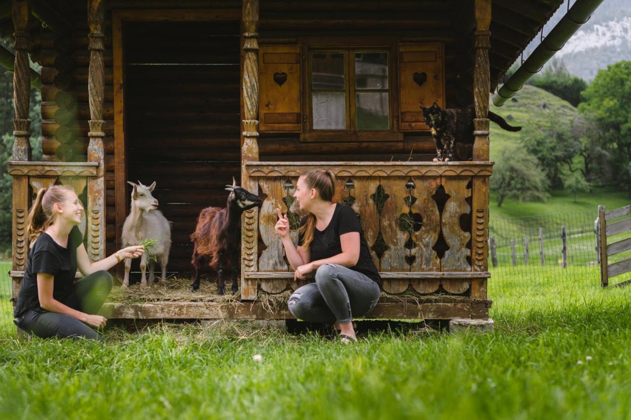 Pension Glitschnerhof Aigen im Ennstal Bagian luar foto