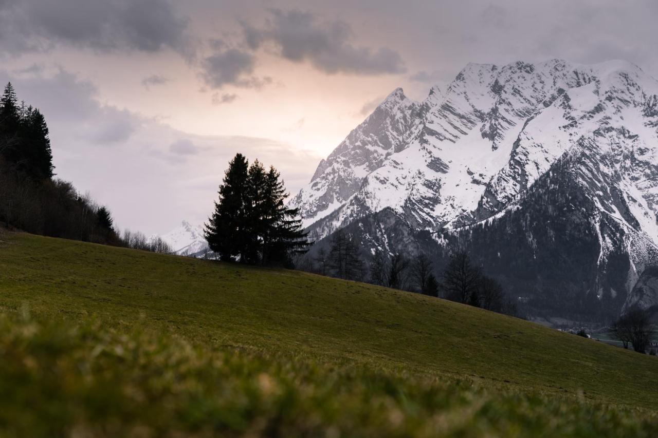 Pension Glitschnerhof Aigen im Ennstal Bagian luar foto