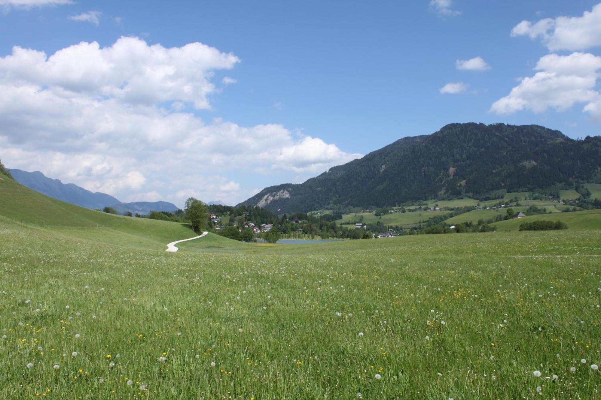Pension Glitschnerhof Aigen im Ennstal Bagian luar foto