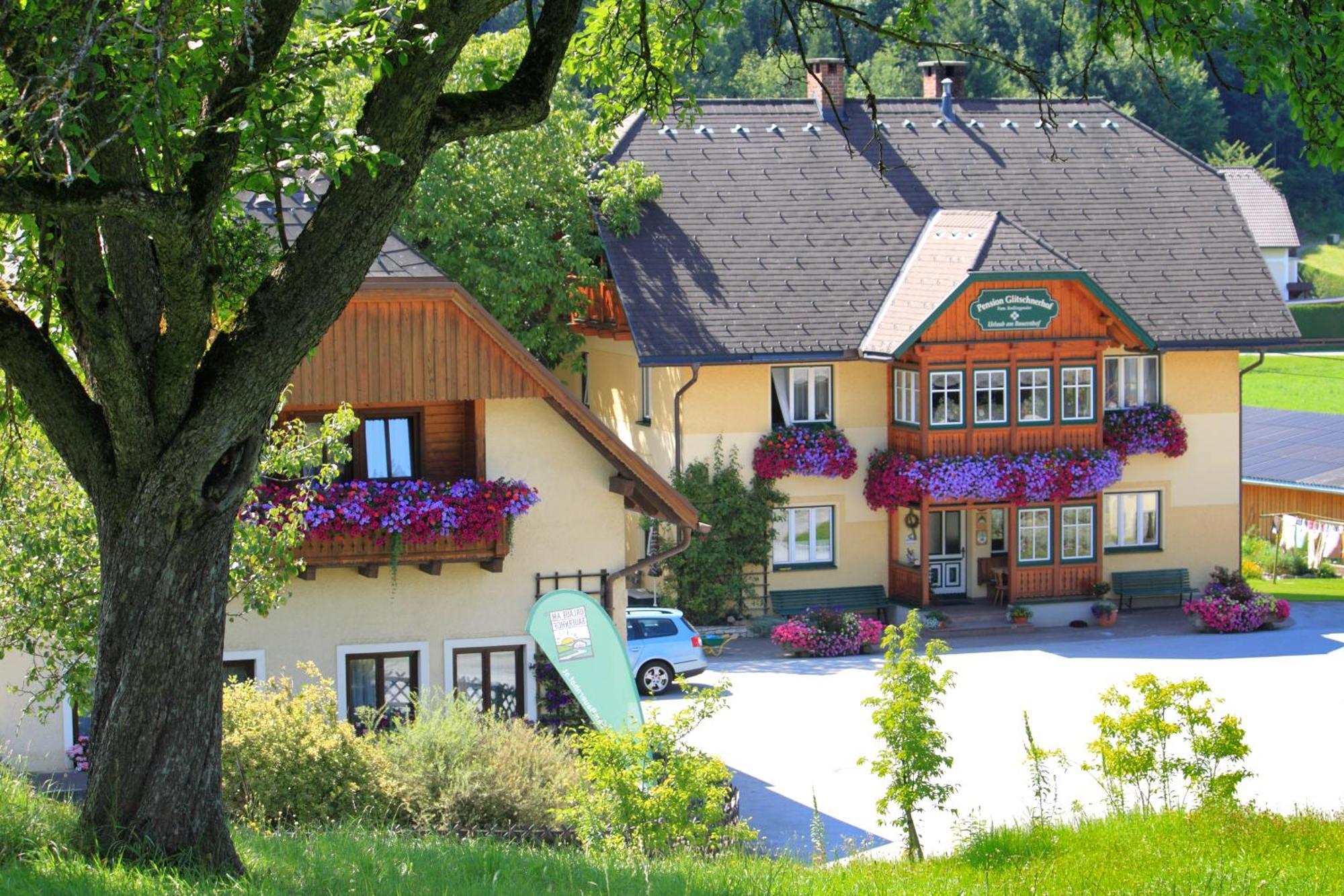 Pension Glitschnerhof Aigen im Ennstal Bagian luar foto